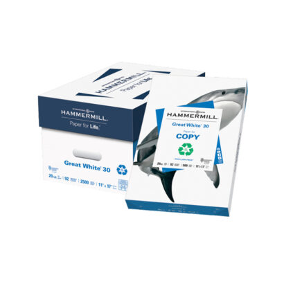 Hammermill Great White 30% Recycled 8.5 x 11 Copy Paper, 20 lbs., 92 Brightness, 5000 Sheets/Carton