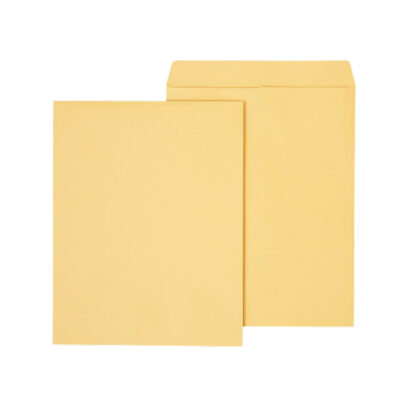 Salisbury VAMC #10 Envelope